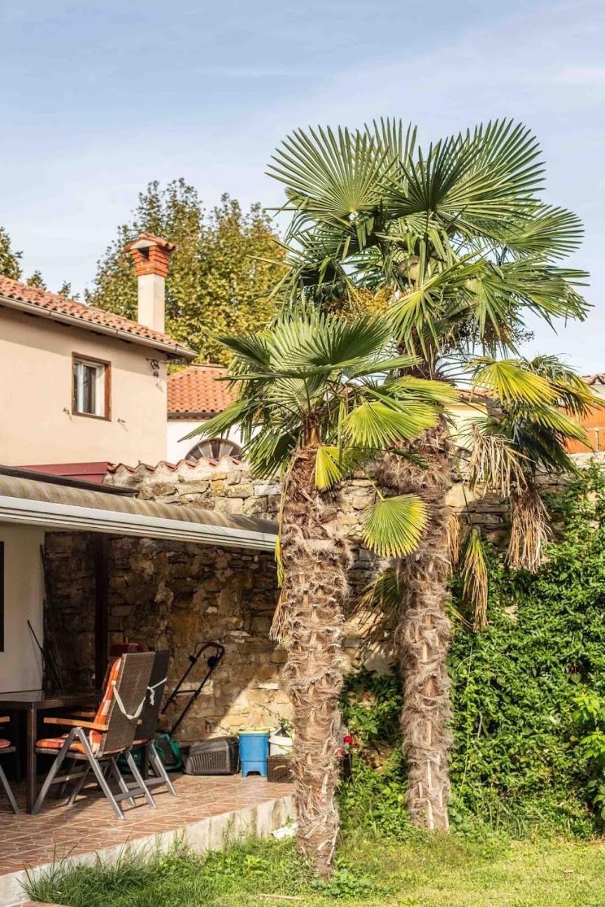 Ferienwohnung Cozy Corner Koper Exterior foto